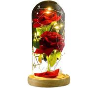 WANGSHAOWEI Rosa Eterna Rosa di Vetro, Rosa for Sempre Artificiale Luce eterna con Copertura in Decorazione for la casa for San Valentino Regalo Natale for Mamma(Style a)