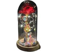 WANGSHAOWEI Rosa Eterna Rosa di Vetro, Rosa for Sempre incantata eterna con Lucine nella Cupola for Il Regalo San Valentino Natale(22)