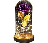 WANGSHAOWEI Rosa Eterna Rosa di Vetro, Rosa for Sempre incantata eterna con Lucine nella Cupola for Il Regalo San Valentino Natale(Brown Base Purple)