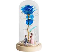 WANGSHAOWEI Rosa Eterna Rosa di Vetro, Rosa for Sempre incantata eterna con Lucine nella Cupola for Il Regalo San Valentino Natale(B02)