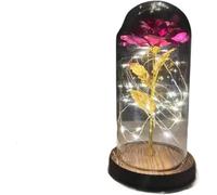 WANGSHAOWEI Rosa Eterna Rosa di Vetro, Rosa for Sempre incantata eterna con Lucine nella Cupola for Il Regalo San Valentino Natale(9)