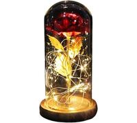 WANGSHAOWEI Rosa Eterna Rosa di Vetro, Rosa for Sempre incantata eterna con Lucine nella Cupola for Il Regalo San Valentino Natale(Brown Base Red)