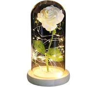 WANGSHAOWEI Rosa Eterna Rosa di Vetro, Rosa for Sempre incantata eterna con Lucine nella Cupola for Il Regalo San Valentino Natale(White)