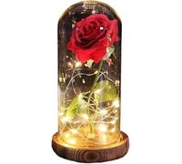 WANGSHAOWEI Rosa Eterna Rosa di Vetro, Rosa for Sempre incantata eterna con Lucine nella Cupola for Il Regalo San Valentino Natale(Brown Base Red 2)