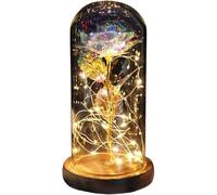 WANGSHAOWEI Rosa Eterna Rosa di Vetro, Rosa for Sempre incantata eterna con Lucine nella Cupola for Il Regalo San Valentino Natale(Brown Base Bright)