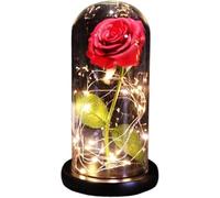 WANGSHAOWEI Rosa Eterna Rosa di Vetro, Rosa for Sempre incantata eterna Fiore in Lamina d'oro 24K con luci a Corda Fata nella Cupola for Il Regalo San Valentino Natale(Black Base)