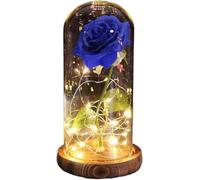 WANGSHAOWEI Rosa Eterna Rosa di Vetro, Rosa for Sempre incantata eterna Fiore in Lamina d'oro 24K con luci a Corda Fata nella Cupola for Il Regalo San Valentino Natale(003)
