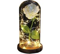 WANGSHAOWEI Rosa Eterna Rosa di Vetro, Rosa for Sempre incantata eterna Fiore in Lamina d'oro 24K con luci a Corda Fata nella Cupola for Il Regalo San Valentino Natale(Brown Base White)