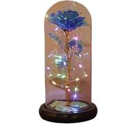 WANGSHAOWEI Rosa Eterna Rosa di Vetro, Rosa for Sempre incantata eterna Fiore in Lamina d'oro 24K con luci a Corda Fata nella Cupola for Il Regalo San Valentino Natale(White)