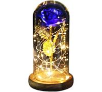 WANGSHAOWEI Rosa Eterna Rosa di Vetro, Rosa for Sempre incantata eterna Fiore in Lamina d'oro 24K con luci a Corda Fata nella Cupola for Il Regalo San Valentino Natale(Brown Base Blue)