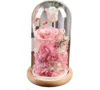 WANGSHAOWEI Rosa Eterna Rosa di Vetro, Rosa for Sempre, Regali Rose conservate for Le Donne Fiori eterni in Cupola con luci for Il Compleanno, Festa della Mamma, Regalo San Valentino(Pink)