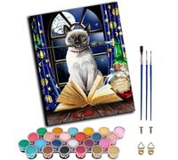 WANGWANGMIAO Dipingi con i numeri per adulti gatto magico, pittura con i numeri, kit di tela per adulti, pittura ad olio fai da te per rilassarsi e alleviare lo stress, decorazione per la casa, regalo