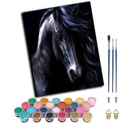 WANGWANGMIAO Dipingi con i numeri per adulti, motivo cavallo scuro, pittura con i numeri, kit di tela per adulti, pittura ad olio fai da te per rilassarsi e alleviare lo stress, decorazione per la