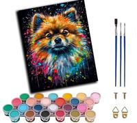 WANGWANGMIAO Pittura con i numeri, per adulti principianti, ritratto colorato di cane Pomerania, pittura ad olio fai da te, regalo unico, tela prestampata, decorazione da parete, arte 40 x 50 cm