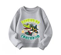 WANGYFAN Felpa Girocollo per Ragazzo e Ragazza, Top con Animali Italiani e Brainrot per Abbigliamento Bambini, Stagione Primavera/Autunno,Grigio,130cm