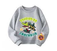 WANGYFAN Felpa per Bambino e Bambina con Fodera in Pile, Maglione con Animali Italiani e Brainrot, Top per Bambini, Caldo per l'inverno, Maglione a Girocollo,Grigio,110cm