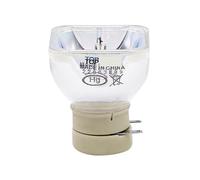 WanGYhuiOu Lampada for proiettore LMP-E191 for VPL-ES7 EW7 EX7 EX70