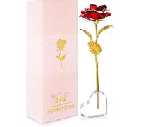 WANGZAIZAI Rosa Fiore Artificiale Placcato e Base, Rosa Eterna Regalo per Fidanzata Moglie Madre Figlia Nonna Donna a San Valentino