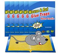 Wanke Trappola Adesiva per Topi e Ratti, 6 Pezzi, Taglia Larga