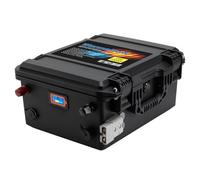 WannaPow LifePO4 24V 100Ah Batteria al Litio,Con 120A BMS,Batteria da 2560Wh,4000+ Cicli,10 Anni Di Vita,Batteria Litio Adatta Per Motore elettrico,Caravan,Camper,Solare,Nautica,Applicazioni Off-grid