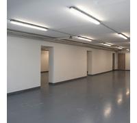 Wannenleuchte Garagenleuchte Lampada da Cantina LED Tubo Bagnato Bianco Freddo [EEK: G]