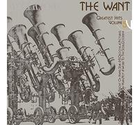 The Want Greatest Hits Volume 5 (Vinyl LP)