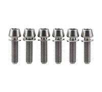 Wanyifa Dadi M5 x 20 mm con rondella Allen Hex Conici bulloni a Vite per Attacco Manubrio, Confezione da 6, Normal Titanium