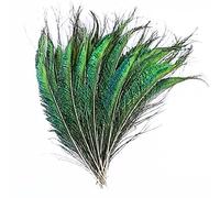 WANYIG 25 Pezzi Piume di Pavone Naturali Pavone Piume di Coda 25-30CM per per i monili Domestici della Decorazione di DIY Carnevale di Venezia Tutti i Festival Artigianato Forniture (Stile 2)