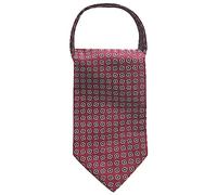 WANYING Cravat Ties Sciarpa da Uomo Stile Classico Retrò Chic per Gentleman - Motivo Scatola Bordeaux