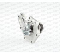WAP8162.00 OPEN PARTS Pompa dell’acqua, raffreddamento motore per DACIA,MITSUBIS