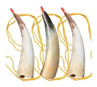 War Horn, 3pcs Vintage Viking Horn, Clear Sound Blow, Portable Viking War with Strap for Cosplay Party Festival Ceremonies Kids Regali Bullhorn Bullhorn