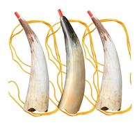 War Horn, 3pcs Vintage Viking Horn, Clear Sound Blow, Portable Viking War with Strap for Cosplay Party Festival Ceremonies Kids Regali Bullhorn Bullhorn
