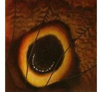 War Of Attrition - ...And The Void Stared Back - CDep