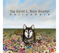 Ware, David S. - Ballad Ware