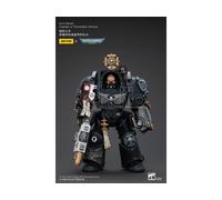 Warhammer 40k Action Figura 1/18 Iron Hands Captain In Terminator Armour 14 Cm J