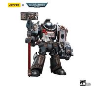 Bloomage Joytoy Tech - Joytoy Warhammer 40,000 Grey Knights Terminator Caddon Vibova 1/18 Figura (Neto)