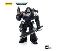 Warhammer 40k Action Figure 1/18 Raven Guard Intercessors Brother Colvane JOYTOY