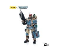 Joy Toy Figure 1/18 Astra Military Sions Command Squad 55th Kappic Eagles Medic 12 Cm Blu