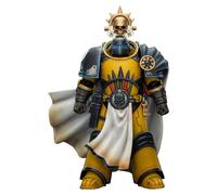Warhammer Imperial Fists Action Figure Librarian Consulwith Force Axe and Bol...