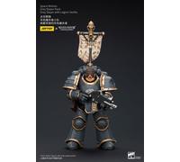 JoytToy Warhammer 40k: Space Wolves Slayer Pack with Legion Vexilla - Action Fig