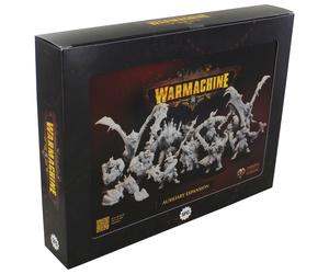 Warmachine: Espansione Ausiliaria Dei Predoni Del Mare Orgoth