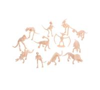 Warmhm 12pezzi Scheletro Di Dinosauro Modello in Plastica Di Ossa Di Scheletro Per Sabbiera Giocattolo Di Dinosauro Per Ragazzo Ragazza Di Istruzione e Azione Favore Per Feste