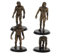Warmhm 4 Pezzi Di Scimmia Di Evoluzione Umana Figura Umana Giocattoli Evoluzione Della Scimmia Giocattolo Puntelli Di Layout Di Scimmia Modelli Umani Primitivi
