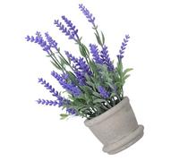 Warmhm Lavanda Artificiale Decorazione Realistica in Vaso Plastica Porpora | Composizione Floreale Finta, Effetto Simulato ad Alta Resa, Arredo Raffinato per Comunità e Centri Anziani