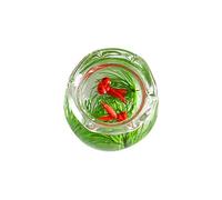 Warmhm Miniature Fish Bowl Decorazione Accessorio Per Mini Casa Giardinaggio Per Del