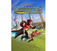 Warner Bros Harry Potter: Campioni di Quidditch (PS4)