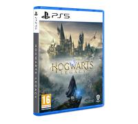 Warner Bros Hogwarts Legacy Standard