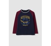 WARNER BROS, T-shirt Blu In Puro Cotone Con Girocollo Con Stampa Harry Potter, Bambino, Blu, Taglia: 9-10
