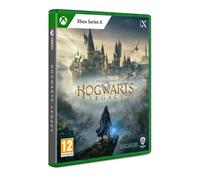 Warner Bros Hogwarts Legacy Standard