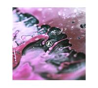 - Warner Music Linkin Park, From zero standard CD Rock - CD